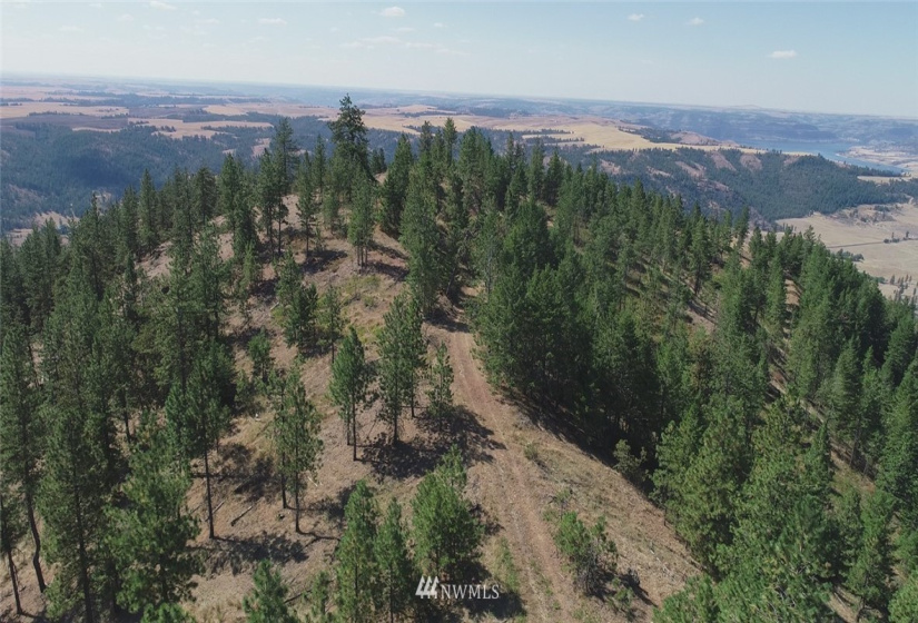 44800 Royal, Davenport, Washington 99122, ,Land,For Sale,Royal,NWM1832879