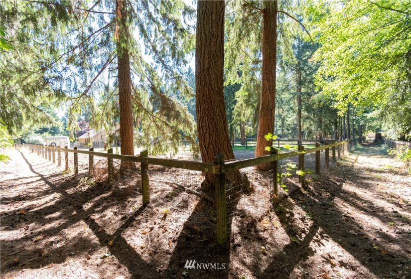 33927 102nd, Roy, Washington 98580, 4 Bedrooms Bedrooms, ,2 BathroomsBathrooms,Residential,For Sale,Whitewater Estates,102nd,NWM1840088