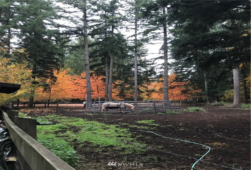 33927 102nd, Roy, Washington 98580, 4 Bedrooms Bedrooms, ,2 BathroomsBathrooms,Residential,For Sale,Whitewater Estates,102nd,NWM1840088