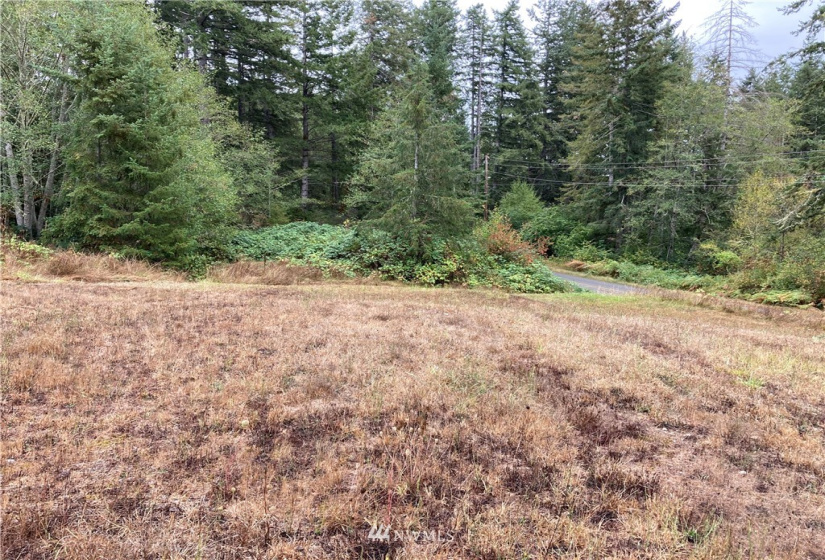 161 Oak, Quilcene, Washington 98376, ,Land,For Sale,Churchill Tracts,Oak,NWM1839994