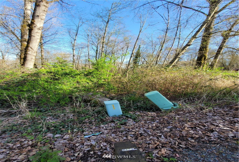 16215 Slade, Tukwila, Washington 98188, ,Land,For Sale,McMicken Heights,Slade,NWM1778204