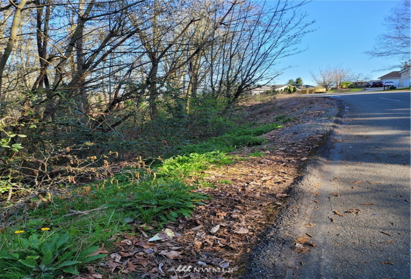 16215 Slade, Tukwila, Washington 98188, ,Land,For Sale,McMicken Heights,Slade,NWM1778204