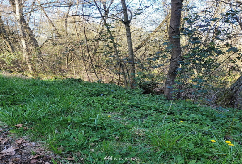 16215 Slade, Tukwila, Washington 98188, ,Land,For Sale,McMicken Heights,Slade,NWM1778204