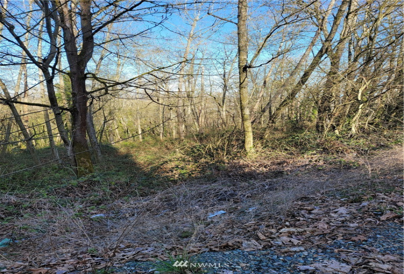 16215 Slade, Tukwila, Washington 98188, ,Land,For Sale,McMicken Heights,Slade,NWM1778204