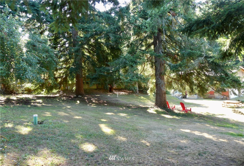 6237 Bayview, Clinton, Washington 98236, ,Land,For Sale,Bayview,NWM1840423