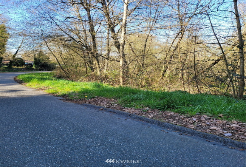 16215 Slade, Tukwila, Washington 98188, ,Land,For Sale,McMicken Heights,Slade,NWM1778175
