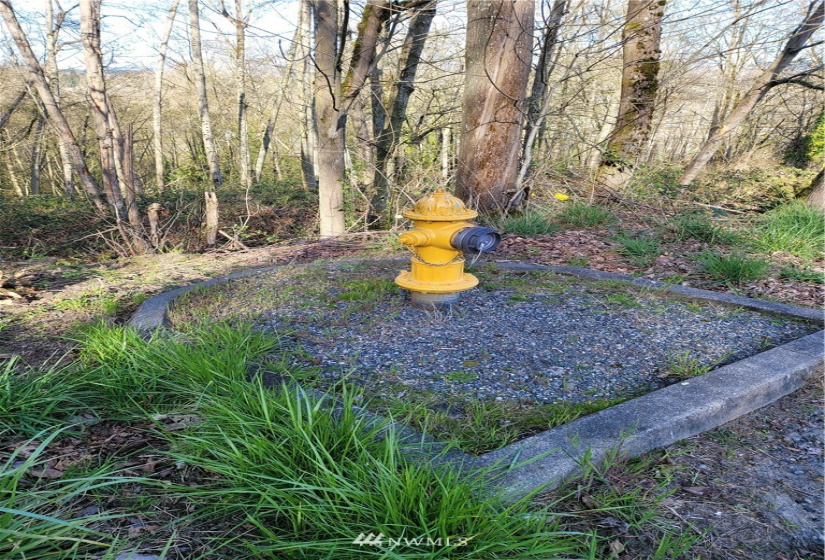 16215 Slade, Tukwila, Washington 98188, ,Land,For Sale,McMicken Heights,Slade,NWM1778175