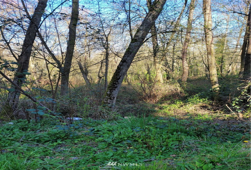 16215 Slade, Tukwila, Washington 98188, ,Land,For Sale,McMicken Heights,Slade,NWM1778175