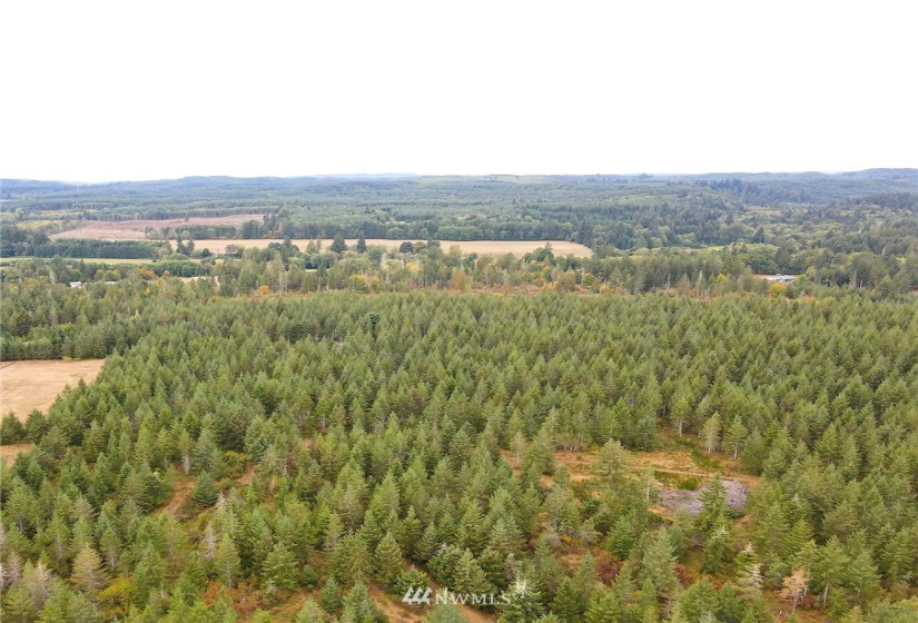 0 Lillie, Satsop, Washington 98541, ,Land,For Sale,Lillie,NWM1840471