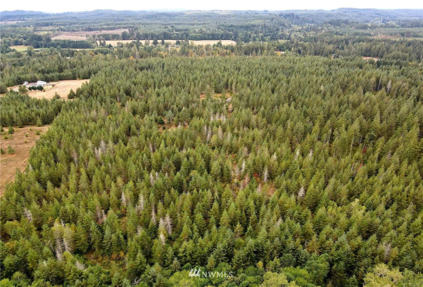 0 Lillie, Satsop, Washington 98541, ,Land,For Sale,Lillie,NWM1840471