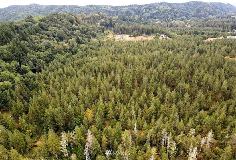 0 Lillie, Satsop, Washington 98541, ,Land,For Sale,Lillie,NWM1840471