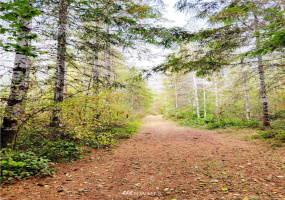 0 Lillie, Satsop, Washington 98541, ,Land,For Sale,Lillie,NWM1840471