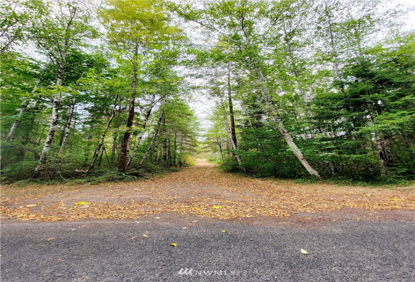 0 Lillie, Satsop, Washington 98541, ,Land,For Sale,Lillie,NWM1840471