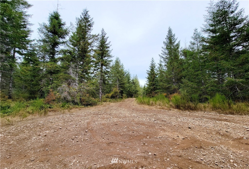 0 Lillie, Satsop, Washington 98541, ,Land,For Sale,Lillie,NWM1840471