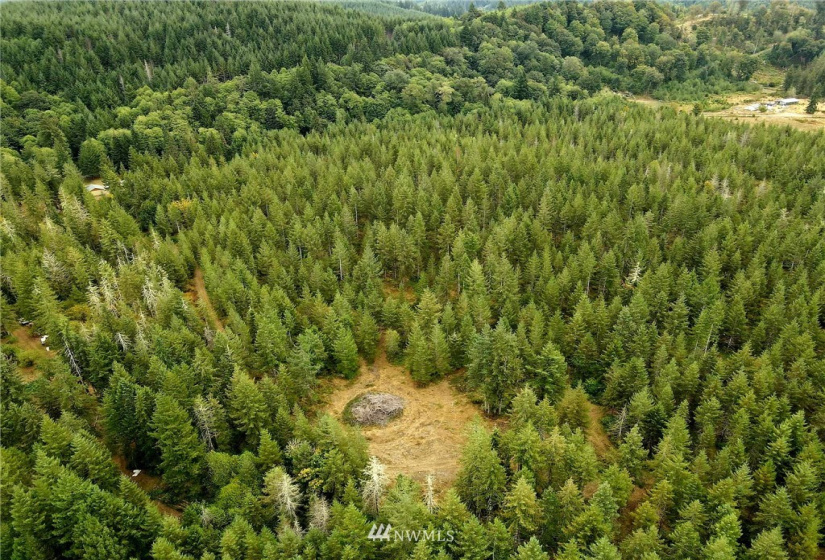 0 Lillie, Satsop, Washington 98541, ,Land,For Sale,Lillie,NWM1840471