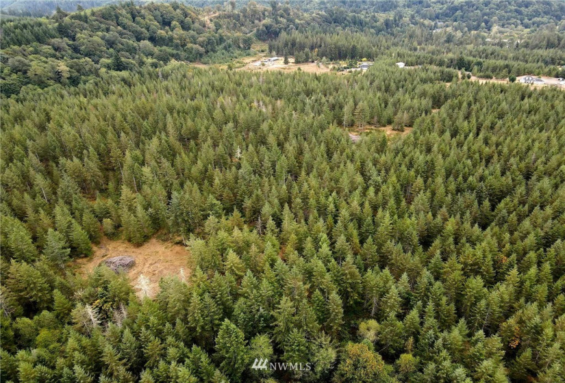 0 Lillie, Satsop, Washington 98541, ,Land,For Sale,Lillie,NWM1840471