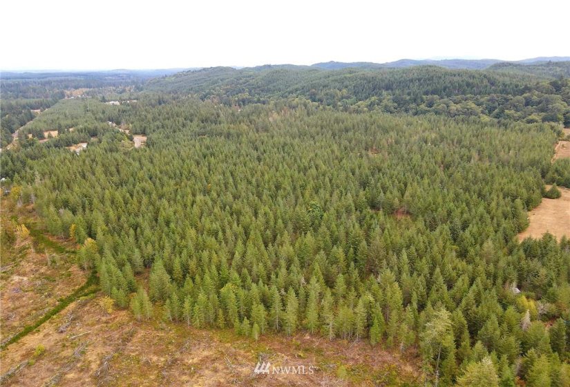 0 Lillie, Satsop, Washington 98541, ,Land,For Sale,Lillie,NWM1840472