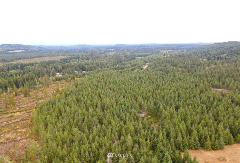 0 Lillie, Satsop, Washington 98541, ,Land,For Sale,Lillie,NWM1840472