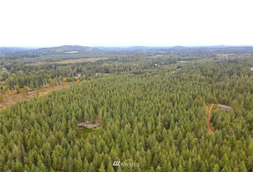 0 Lillie, Satsop, Washington 98541, ,Land,For Sale,Lillie,NWM1840472