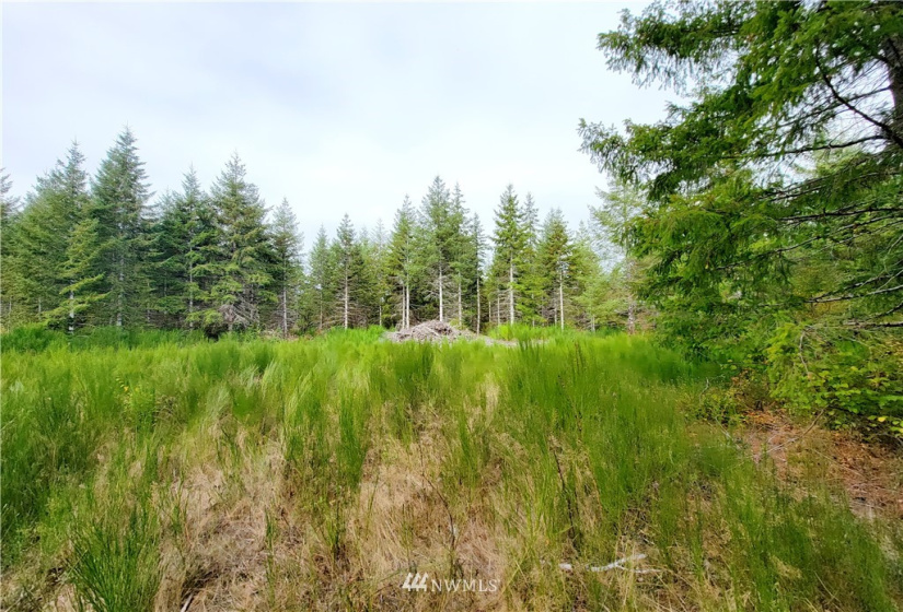 0 Lillie, Satsop, Washington 98541, ,Land,For Sale,Lillie,NWM1840472