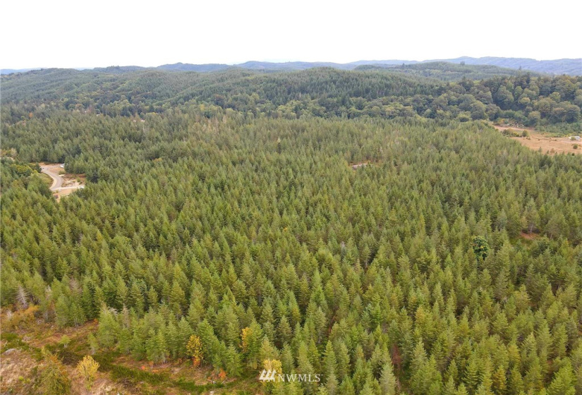 0 Lillie, Satsop, Washington 98541, ,Land,For Sale,Lillie,NWM1840472