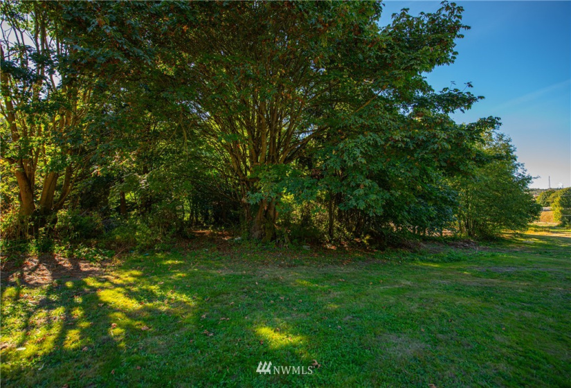 9434 Padilla Heights, Anacortes, Washington 98221, ,Land,For Sale,Padilla Heights,NWM1840618