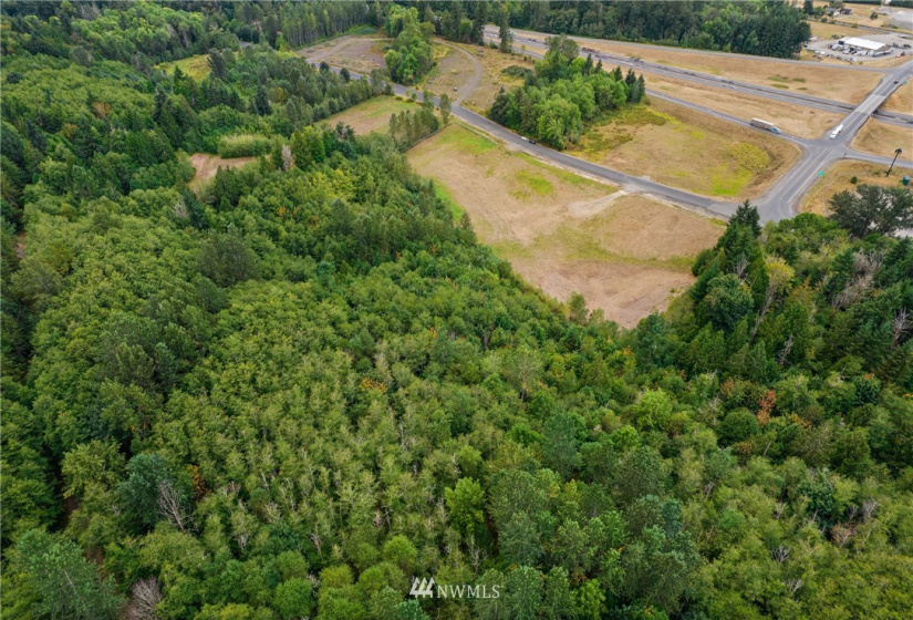 105 Hill Creek, Toledo, Washington 98591, ,Land,For Sale,Hill Creek,NWM1840666