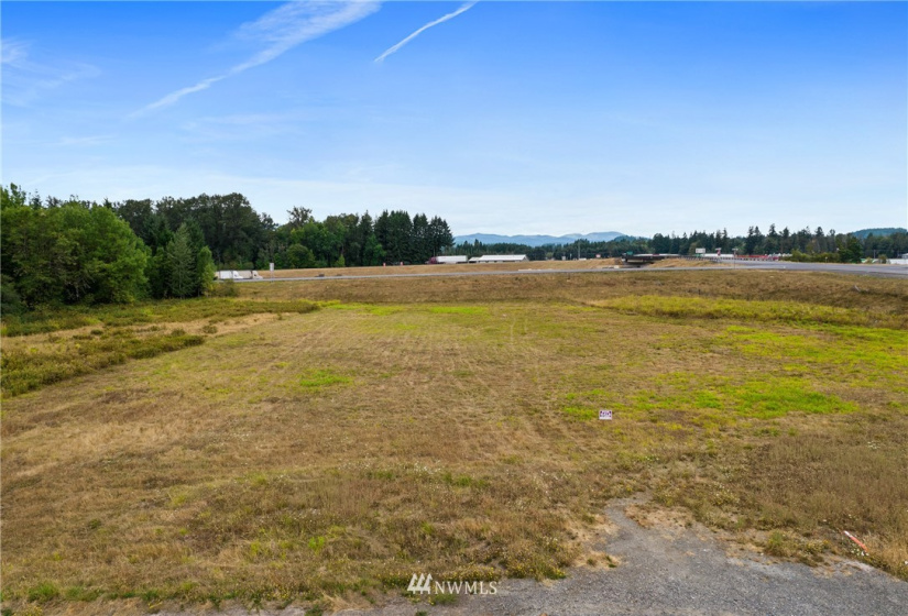 105 Hill Creek, Toledo, Washington 98591, ,Land,For Sale,Hill Creek,NWM1840666