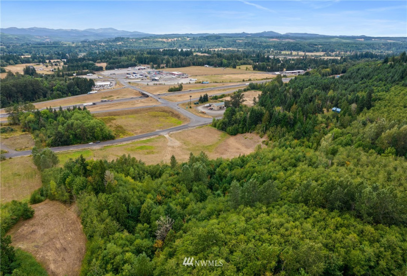 105 Hill Creek, Toledo, Washington 98591, ,Land,For Sale,Hill Creek,NWM1840666