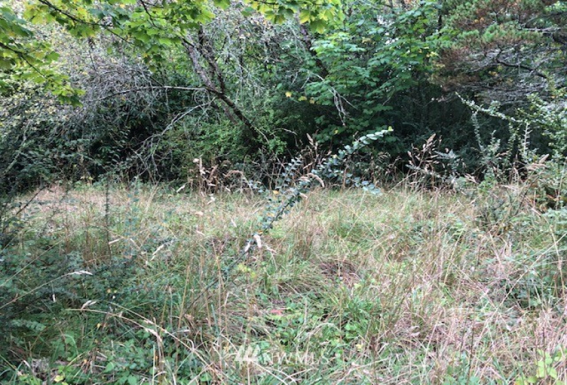 27235 APP. Sandridge, Ocean Park, Washington 98640, ,Land,For Sale,Sandridge,NWM1840888