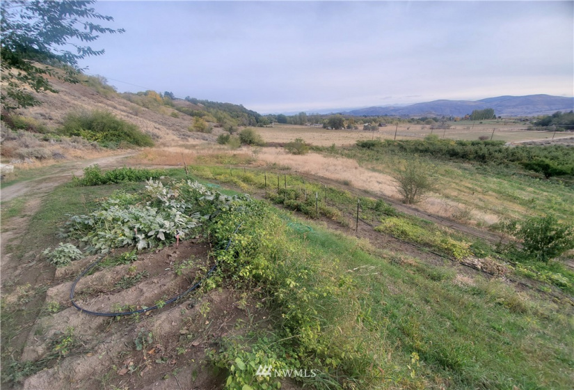 0 TBD Panorama Point, Omak, Washington 98841, ,Land,For Sale,Panorama Point,NWM1825895