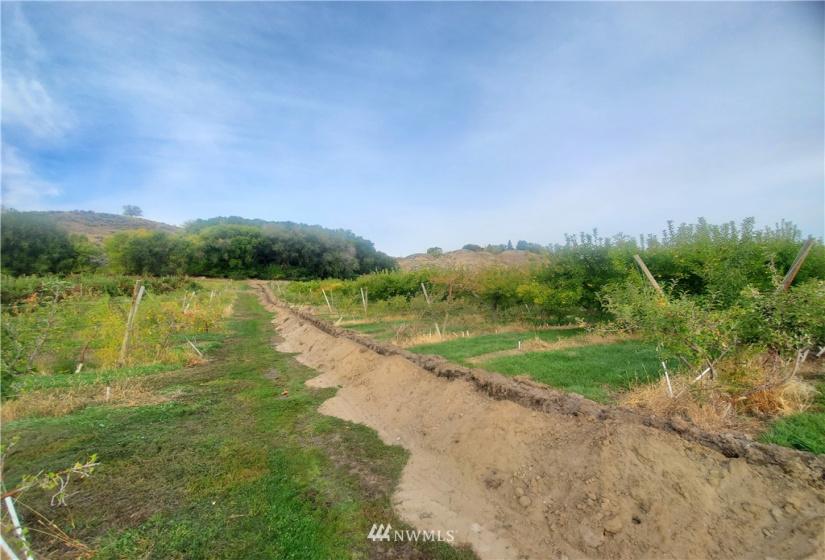 0 TBD Panorama Point, Omak, Washington 98841, ,Land,For Sale,Panorama Point,NWM1825895