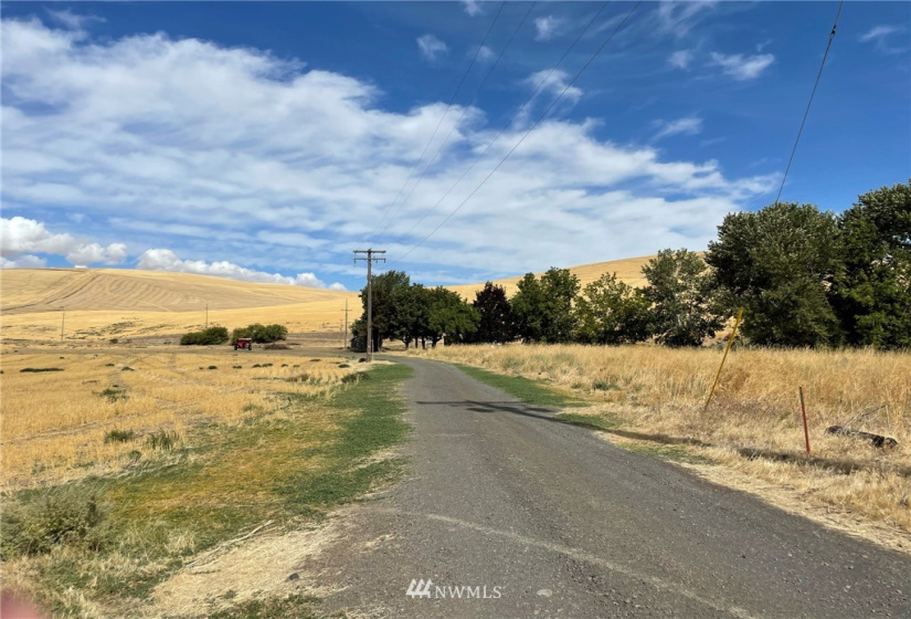 36123 Highway 12, Dayton, Washington 99328, 4 Bedrooms Bedrooms, ,1 BathroomBathrooms,Residential,For Sale,Highway 12,NWM1836214
