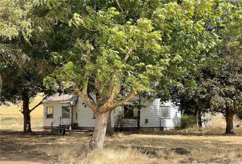36123 Highway 12, Dayton, Washington 99328, 4 Bedrooms Bedrooms, ,1 BathroomBathrooms,Residential,For Sale,Highway 12,NWM1836214