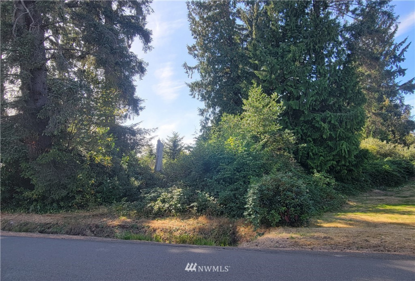 11 YY Evans, Aberdeen, Washington 98520, ,Land,For Sale,Evans,NWM1840846