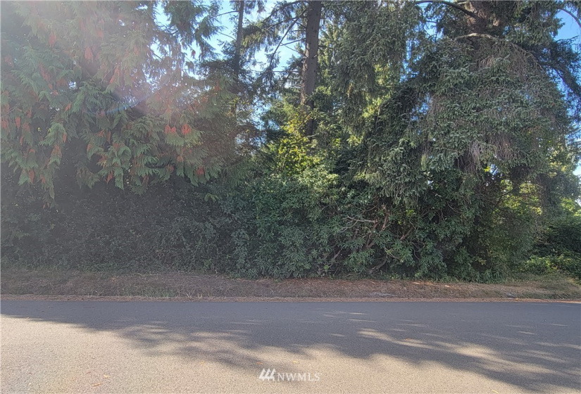 11 YY Evans, Aberdeen, Washington 98520, ,Land,For Sale,Evans,NWM1840846
