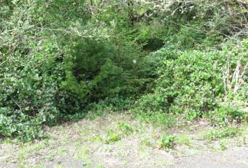 171 Point Brown, Ocean Shores, Washington 98569, ,Land,For Sale,Point Brown,NWM1841076