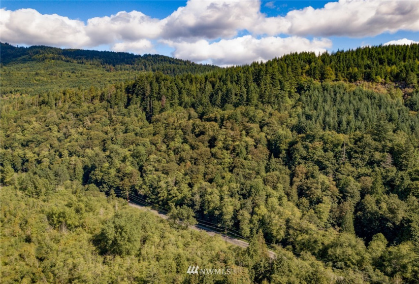 0 Old Hwy 99 North, Bellingham, Washington 98229, ,Land,For Sale,Old Hwy 99 North,NWM1840641