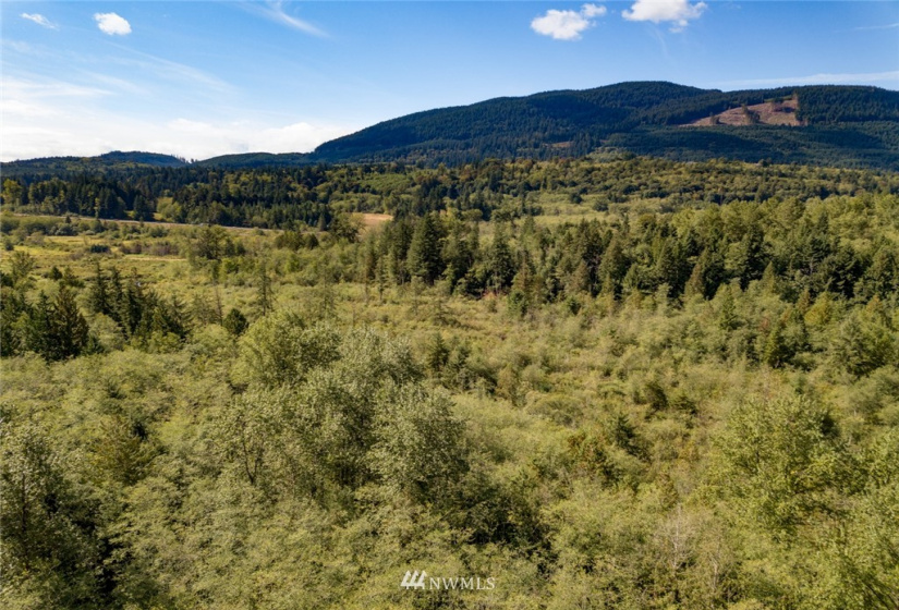 0 Old Hwy 99 North, Bellingham, Washington 98229, ,Land,For Sale,Old Hwy 99 North,NWM1840641