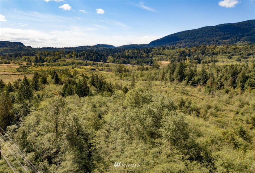 0 Old Hwy 99 North, Bellingham, Washington 98229, ,Land,For Sale,Old Hwy 99 North,NWM1840641