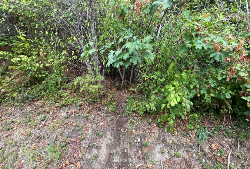 22 XX East Lake Sammamish, Sammamish, Washington 98074, ,Land,For Sale,Sammamish Spgs Add,East Lake Sammamish,NWM1841311