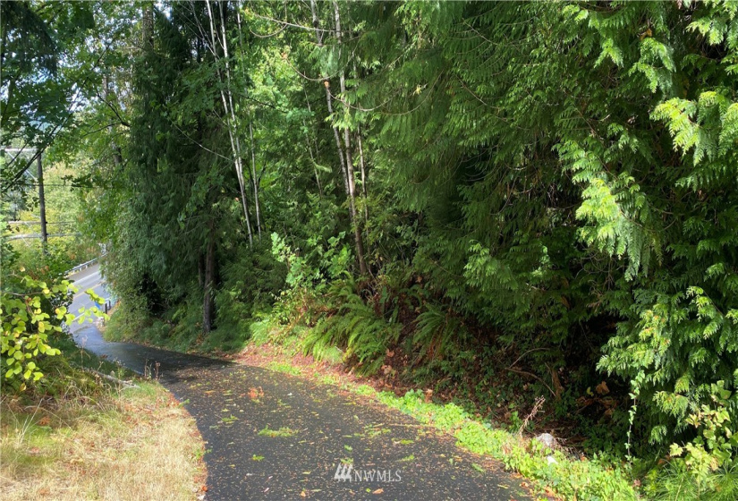 22 XX East Lake Sammamish, Sammamish, Washington 98074, ,Land,For Sale,Sammamish Spgs Add,East Lake Sammamish,NWM1841311