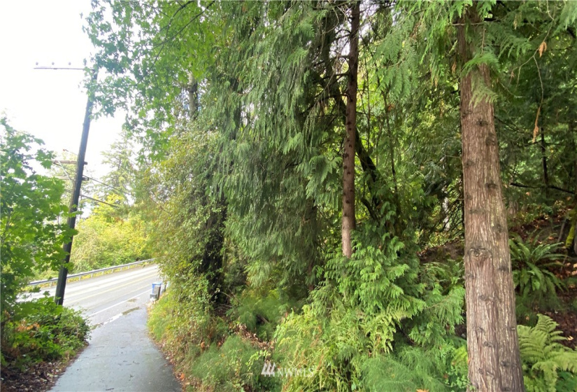 22 XX East Lake Sammamish, Sammamish, Washington 98074, ,Land,For Sale,Sammamish Spgs Add,East Lake Sammamish,NWM1841311