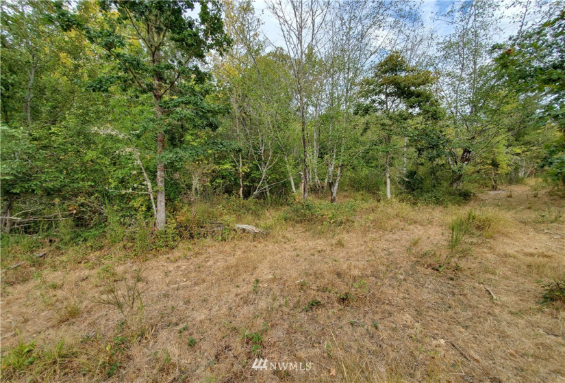 641 Boistfort Rd, Chehalis, Washington 98532, ,Land,For Sale,Boistfort Rd,NWM1841282