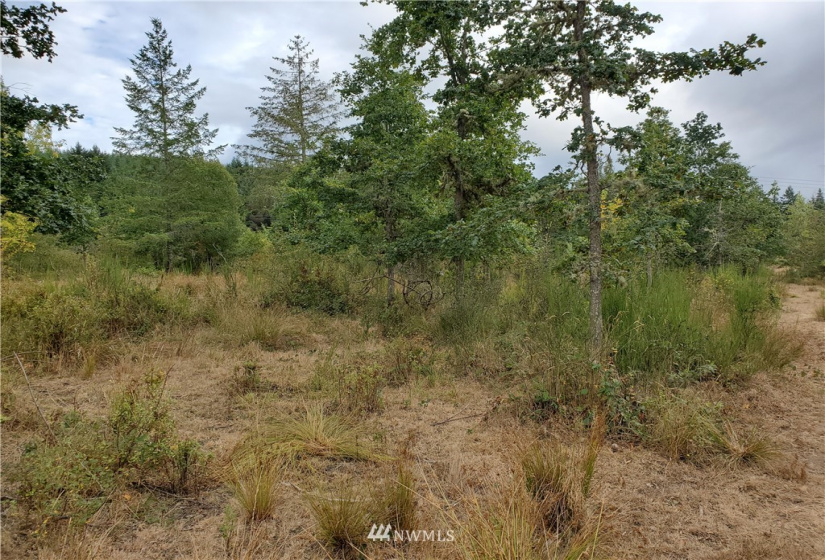 641 Boistfort Rd, Chehalis, Washington 98532, ,Land,For Sale,Boistfort Rd,NWM1841282