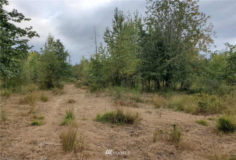 641 Boistfort Rd, Chehalis, Washington 98532, ,Land,For Sale,Boistfort Rd,NWM1841282