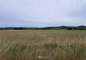 641 Boistfort Rd, Chehalis, Washington 98532, ,Land,For Sale,Boistfort Rd,NWM1841282