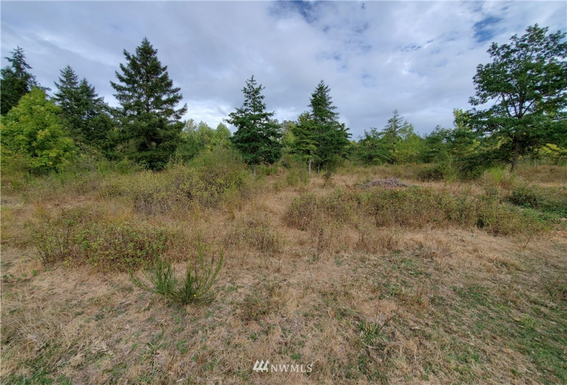 637 Boistfort Rd, Chehalis, Washington 98532, ,Land,For Sale,Boistfort Rd,NWM1841271
