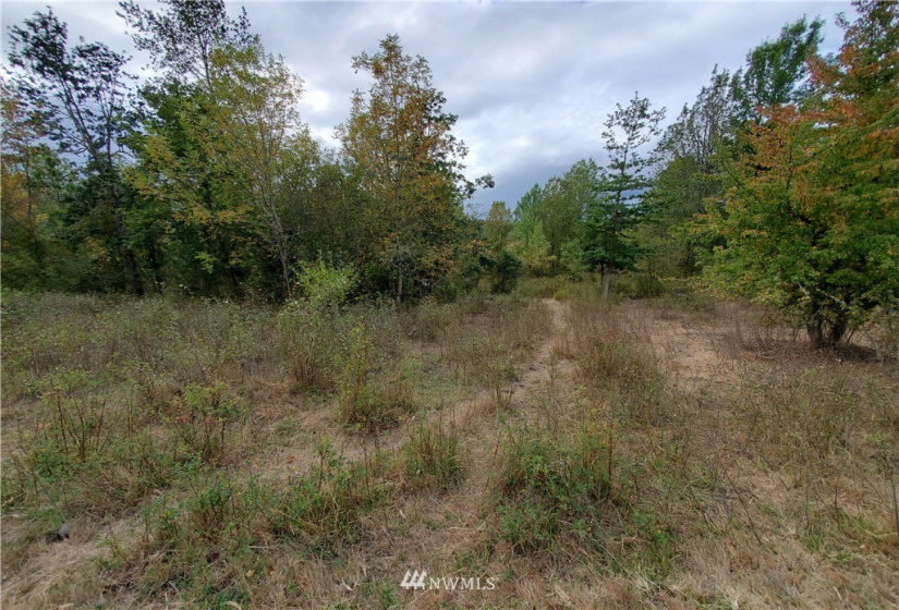 637 Boistfort Rd, Chehalis, Washington 98532, ,Land,For Sale,Boistfort Rd,NWM1841271