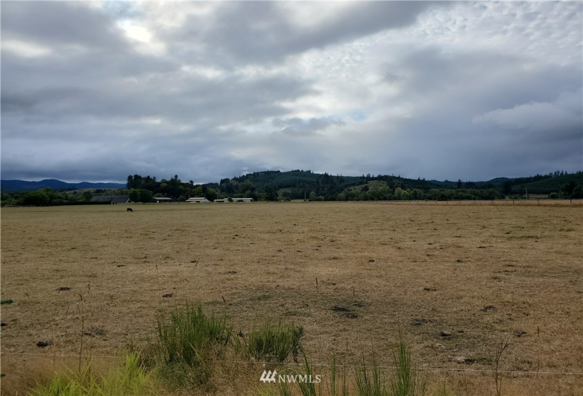 637 Boistfort Rd, Chehalis, Washington 98532, ,Land,For Sale,Boistfort Rd,NWM1841271